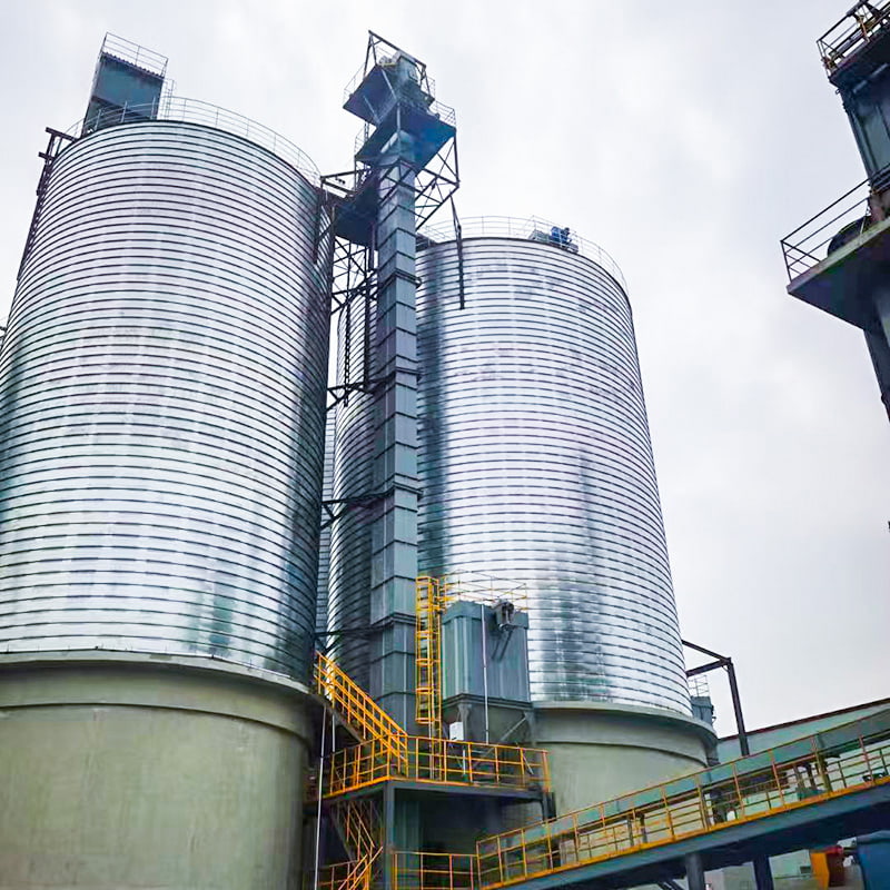 Elevador de cangilones NE