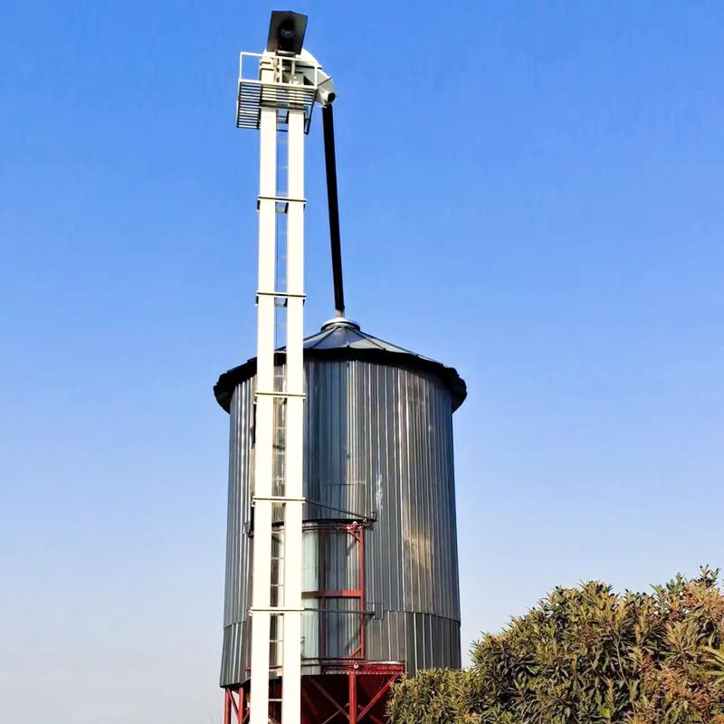 Elevador de cangilones TD